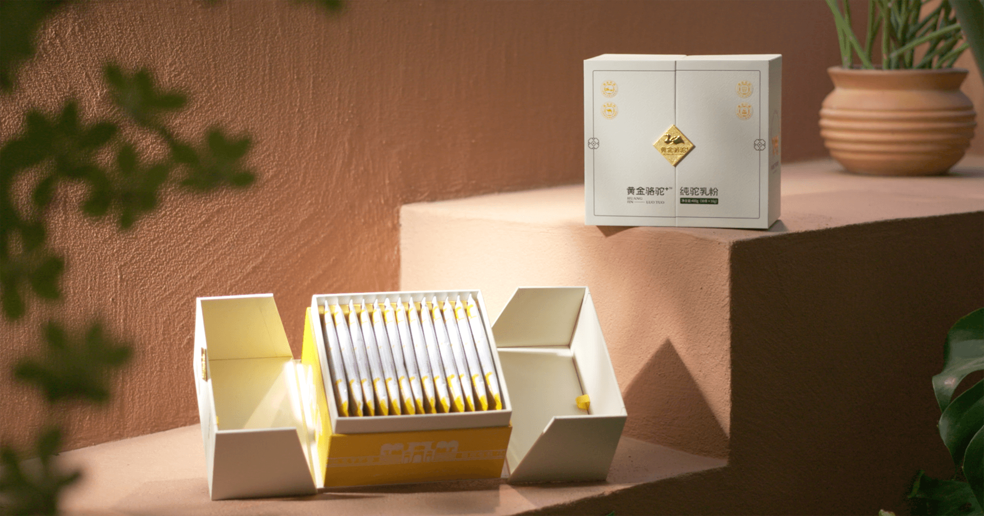 定位小众高端乳粉，jinnianhui今年会推出驼奶品牌“黄金骆驼+”，角逐乳品新市场！